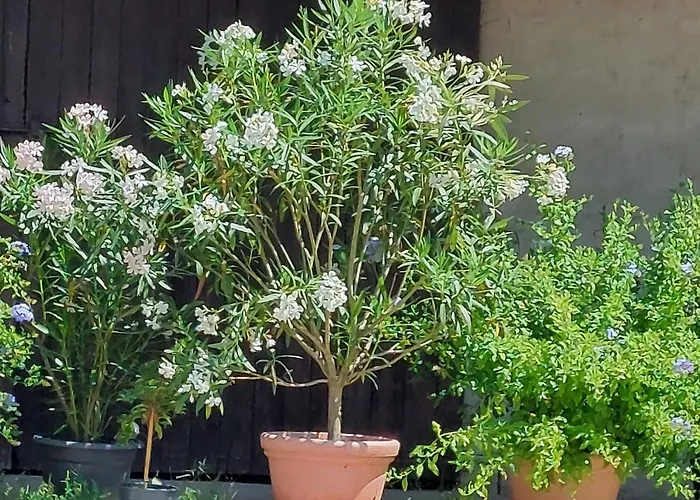 Landpartie Freckenfeld