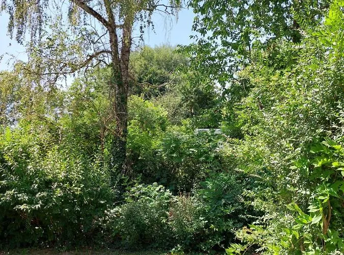 Landpartie * Freckenfeld